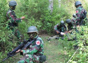 Ilustrasi pasukan TNI. Foto: Lukman Polimengo