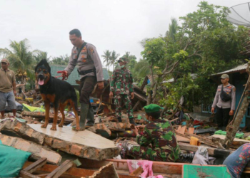 Petugas SAR membawa anjing pelacak untuk mencari korban di antara puing-puing setelah tsunami di Selat Sunda menerjang Rajabasa di Lampung Selatan, 25 Desember 2018. Foto: Reuters