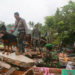 Petugas SAR membawa anjing pelacak untuk mencari korban di antara puing-puing setelah tsunami di Selat Sunda menerjang Rajabasa di Lampung Selatan, 25 Desember 2018. Foto: Reuters