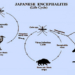 Japanese Encephalitis