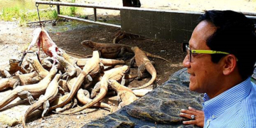 Komodo di Kebun Binatang Surabaya. Foto: VOA.