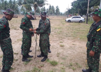 Korem 133/Nani Wartabone menggelar kegiatan latihan Uji Tranpil Perorangan (UTP) yang dilaksanakan oleh Kompi Markas (Kima) Korem 133/Nani Wartabone
