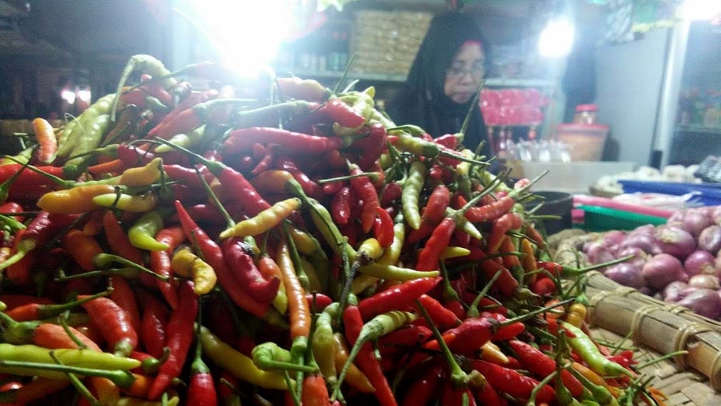 Seorang pedagang cabe di Pasar Sentral Gorontalo. Foto: Lukman Polimengo.