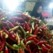 Seorang pedagang cabe di Pasar Sentral Gorontalo. Foto: Lukman Polimengo.