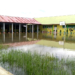 Kondisi halaman SMP Negeri 7 Kota Gorontalo saat banjir. Foto: Lukman Polimengo.