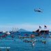 Suasana pemecahan rekor dunia selam yang dilaksanakan di Pantai Manado, Sabtu (3/8/2019). Sebanyak 3100 penyelam berpartisipasi dalam Guinness World Record (GWR) selam ini. Foto: Medsos Pemkot Manado.