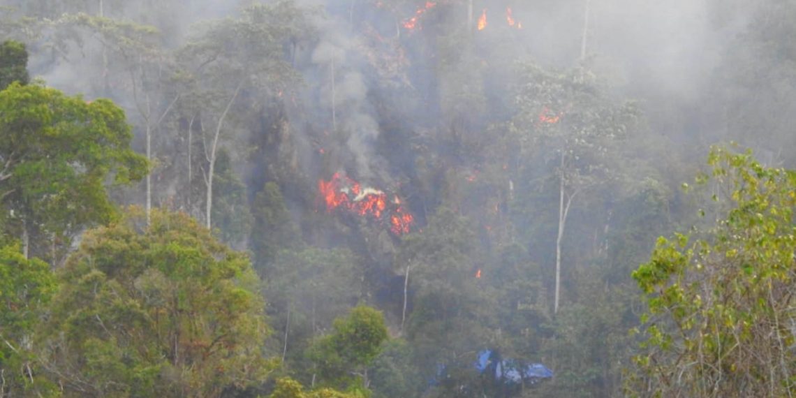 Kebakaran lahan yang terjadi di Desa Buntala, kecamatan Suwawa Selatan, Bonebolango.