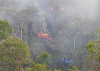 Kebakaran lahan yang terjadi di Desa Buntala, kecamatan Suwawa Selatan, Bonebolango.