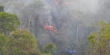 Kebakaran lahan yang terjadi di Desa Buntala, kecamatan Suwawa Selatan, Bonebolango.
