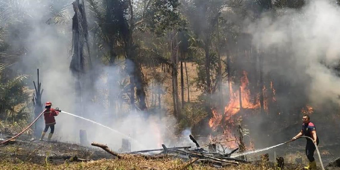 Kebakaran lahan di Kabupaten Bonebolango. Foto: Istimewa.