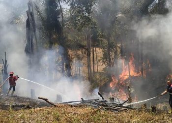 Kebakaran lahan di Kabupaten Bonebolango. Foto: Istimewa.