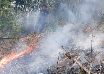 Kebakaran lahan milik warga Desa Lombongo, Kecamatan Suwawa, Kabupaten Bonebolango