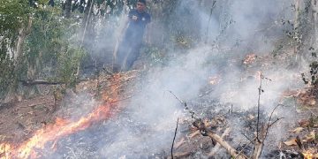 Kebakaran lahan milik warga Desa Lombongo, Kecamatan Suwawa, Kabupaten Bonebolango