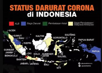 Infografis status darurat corona di Indonesia. Foto: liputan6.com
