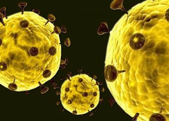 Foto ilustrasi virus corona. Foto: Lukman Polimengo.