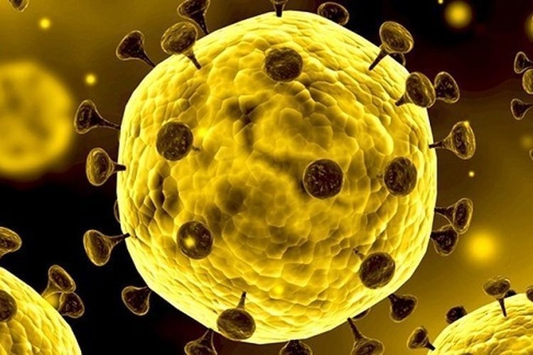 Ilustrasi virus corona. Foto: Istimewa.