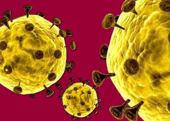 Foto Ilustrasi virus corona. Foto: Lukman Polimengo.