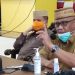 Gubernur Gorontalo, Rusli Habibie saat memberikan keterangan pers. Foto: Arfandy Ibrahim.