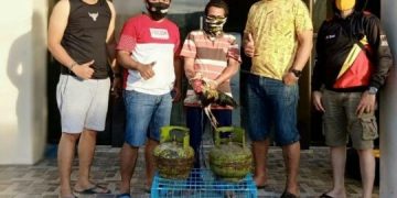 Seorang pelaku pencuri ayam dan tabung gas saat diamankan aparat kepolisian.