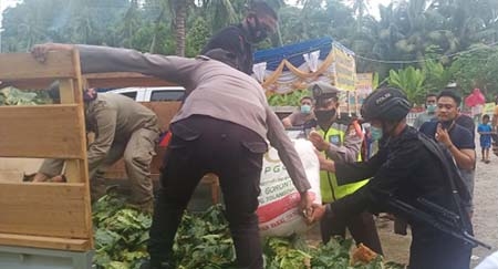 Petugas di pos perbatasan saat membongkar miras jenis cap tikus yang hendak diseludupkan dengan cara menimbunnya dalam tumpukan sayur. Foto: Istimewa.