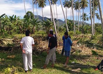 Lahan yang akan di jadikan TPU jenazah Covid-19, di Desa Poowo, Kecamatan Kabila, Kabupaten Bone Bolango. Foto: Lukman Polimengo.