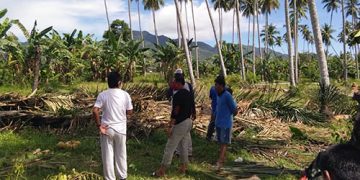 Lahan yang akan di jadikan TPU jenazah Covid-19, di Desa Poowo, Kecamatan Kabila, Kabupaten Bone Bolango. Foto: Lukman Polimengo.