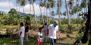 Lahan milik Ridwan Ishak yang dihibahkan untuk pemakaman jenazah pasien Covid-19, di Desa Poowo, Kecamatan Kabila, Kabupaten Bonebolango. Foto: Lukman Polimengo.