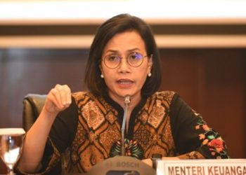 Menteri Keuangan RI, Sri Mulyani. Foto: Istimewa.