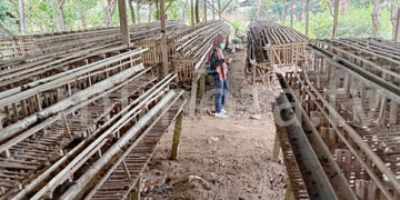 Usaha peternakan ayam milik Ridwan Samiden yang bangkrut lantaran pembangunan jalan Gorontalo Outer Ring Road (GORR). Foto: Lukman Polimengo/mimoza.tv