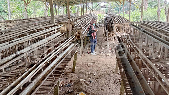 Usaha peternakan ayam milik Ridwan Samiden yang bangkrut lantaran pembangunan jalan Gorontalo Outer Ring Road (GORR). Foto: Lukman Polimengo/mimoza.tv