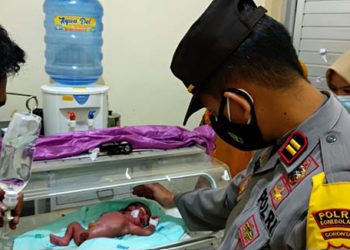Kapolsek Tapa IPTU M. Atmal Fauzi, saat melihat kondisi bayi yang saat ini tengah menjalani perawatan medis di RS Toto