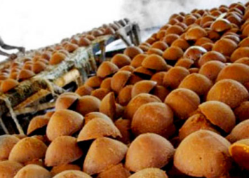 Gula aren. Sumber foto: RGOL