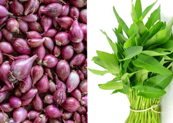 Ilustrasi bawang merah dan kangkung. Foto : Istimewa.
