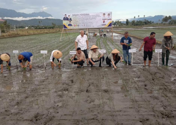 Wakil Ketua Dewan Perwakilan Rakyat Republik Indonesia (DPR-RI) Bidang Industri dan Pembangunan, Rachmad Gobel, Bupati Bone Bolango, Hamim Pou,Pimpinan dan PT Seruniandal Citra Mandiri serta pejabat lainnya saat melakukan demplot perdana padi organik di Bone Bolango, Kamis (20/10/2022). Foto : Lukman Polimengo/mimoza.tv.