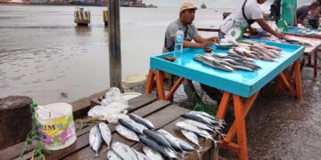 Pedagang ikan di TPI Tenda. Foto : Lukman Polimengo/mimoza.tv.