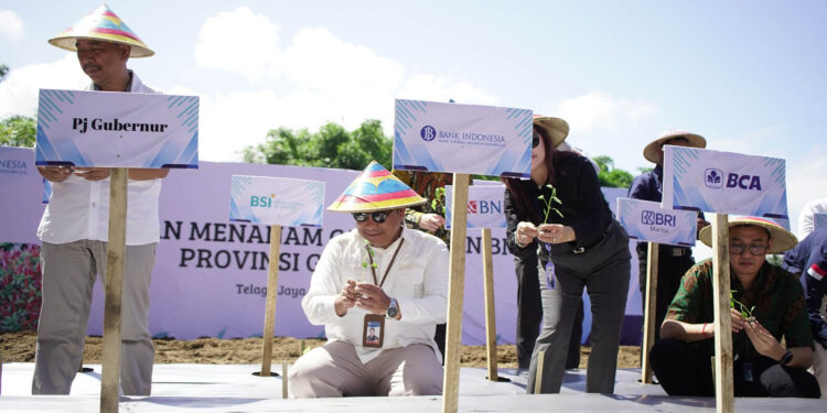 Badan Musyawarah Perbankan Daerah atau BMPD Provinsi Gorontalo bersinergi dengan Herbitren dan kelompok Tani Angkasa Jaya menggelar kegiatan Gerakan Tanam Cabai Provinsi Gorontalo, yang digelar di Desa Buhu, Kecamatan Telaga Jaya, Kabupaten Gorontalo, Rabu (21-8-2024).