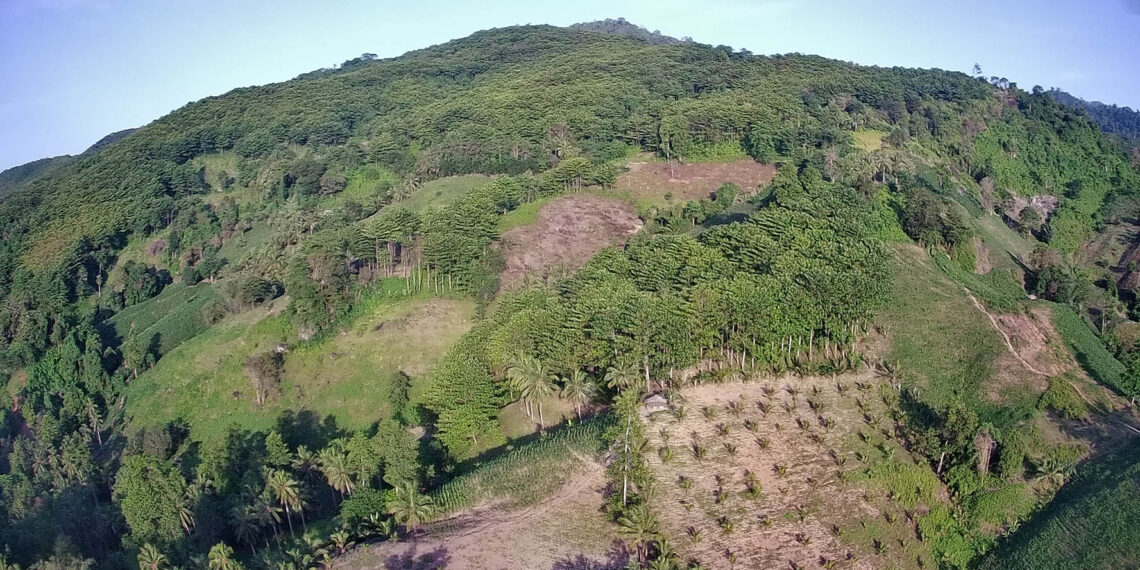 Foto drone wilayah konsesi GNJ di Desa Bubode Kecamatan Tomilito Kabupaten Gorontalo utara.