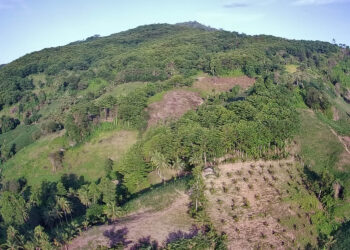 Foto drone wilayah konsesi GNJ di Desa Bubode Kecamatan Tomilito Kabupaten Gorontalo utara.