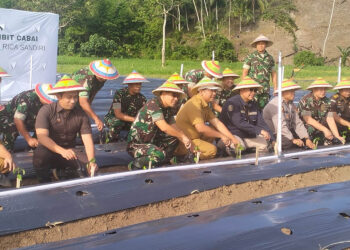 Kepala Kantor Perwakilan Bank Indonesia Gorontalo, Dian Nugraha (kacamata hitam) bersama Sekda Prov. Gorontalo, Sofyan Ibrahim, Komandan Korem 133/Nani Wartabone, Brigjen TNI Hari Pahlawantoro, bersama unsur Forkopimda, melakukan penanaman perdana di lahan milik Korem Nani Wartabone, Selasa (3/12/2024). Foto : Lukman/mimoza.tv.