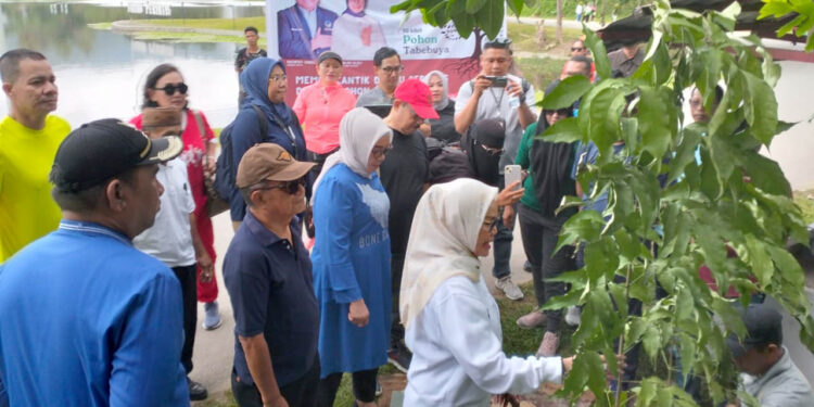 Kegiatan penanaman pohon Tabebuya yang digagas oleh Rumah Aspirasi Rachmat Gobel, di area Danau Perintis, Kabupaten Bone Bolango, Kamis (2/1/2025). Foto : Lukman/mimoza.tv.