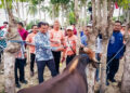 Kepala OJK Provinsi SulutGo, Robert H.P. Sianipar (kemeja corak biru) saat menghadiri kegiatan penandatanganan Perjanjian Kerja Sama (PKS) Pola Kemitraan Penyaluran Kredit Usaha Rakyat (KUR) Skim Ekosistem Ternak Sapi bersama Pemerintah Kabupaten Gorontalo dan PT Bank SulutGo, Kamis (16/10/2025).