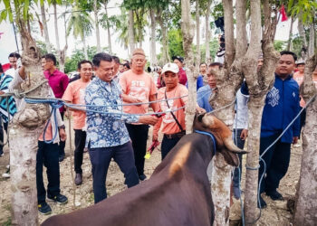 Kepala OJK Provinsi SulutGo, Robert H.P. Sianipar (kemeja corak biru) saat menghadiri kegiatan penandatanganan Perjanjian Kerja Sama (PKS) Pola Kemitraan Penyaluran Kredit Usaha Rakyat (KUR) Skim Ekosistem Ternak Sapi bersama Pemerintah Kabupaten Gorontalo dan PT Bank SulutGo, Kamis (16/10/2025).