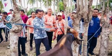 Kepala OJK Provinsi SulutGo, Robert H.P. Sianipar (kemeja corak biru) saat menghadiri kegiatan penandatanganan Perjanjian Kerja Sama (PKS) Pola Kemitraan Penyaluran Kredit Usaha Rakyat (KUR) Skim Ekosistem Ternak Sapi bersama Pemerintah Kabupaten Gorontalo dan PT Bank SulutGo, Kamis (16/10/2025).