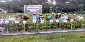 Kegiatan panen cabai dalam arangka program Jaksa Mandiri Pangan, oleh Kejaksaan Negeri Bone Bolango, Kamis (18/12/2025). Foto: Lukman/mimoza.tv.