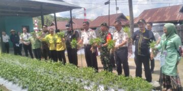 Lembaga Pemasyarakatan (Lapas) Kelas IIA Gorontalo mengikuti kegiatan panen raya serentak sebagai bentuk dukungan terhadap program ketahanan pangan nasional, Kamis (15/1/2025). Foto: Lukman/mimoza.tv