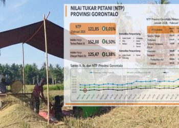 Ilustrasi Nilai Tukar POetani Gorontalo. Foto: Lukman/mimoza.tv.
