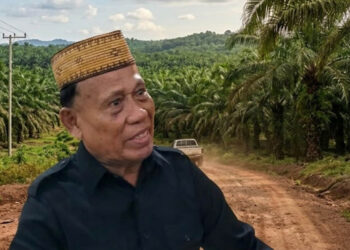 Mus Igirisa, dan latar belakang gambar ilustrasi perkebunan sawit.