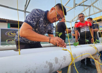 Kepala Lapas Kelas IIA Gorontalo Junaidi Rison menanam bibit tanaman hidroponik saat pencanangan Green House Orilago Hidrofarm di Lapas Gorontalo, Sabtu (8/8/2026). Program ini menjadi bagian dari pembinaan kemandirian warga binaan melalui pertanian modern.